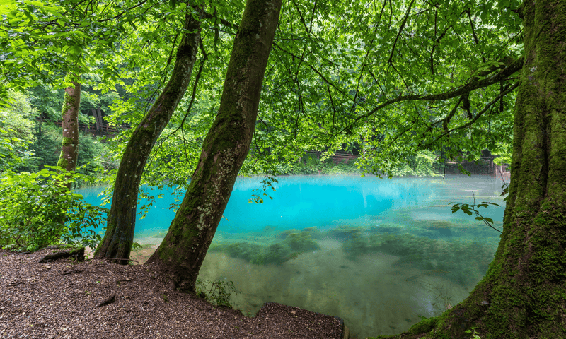 Lake