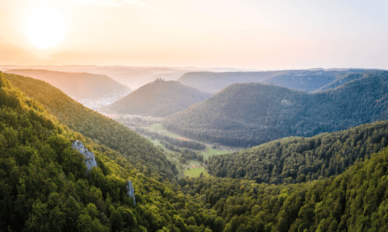 Landscape